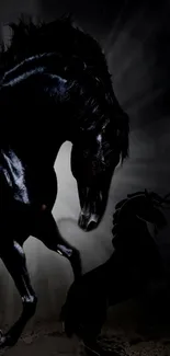 Majestic black horse with silhouette on dark wallpaper.