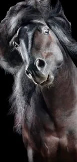 Majestic black horse with flowing mane on a dark background.