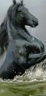 Majestic black horse emerging from water in a dynamic mobile wallpaper.