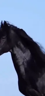 Majestic black horse with flowing mane in serene sky.