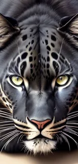 Close-up of a black leopard with piercing eyes and detailed fur on a mobile wallpaper.