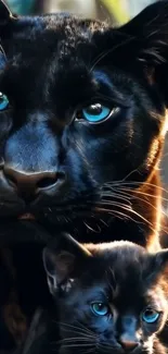 A black panther and cub with piercing blue eyes in natural setting.