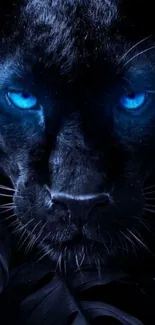 Black panther with glowing blue eyes close-up view.