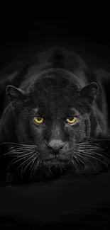 Elegant black panther with golden eyes on a dark background mobile wallpaper.