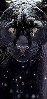 Black panther in snowy landscape vibrant wallpaper.