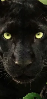 Close-up of black panther with vivid green eyes, ideal as a mobile wallpaper.