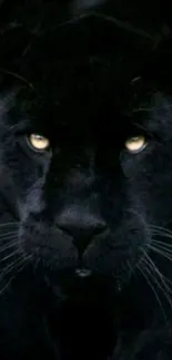 Majestic black panther with piercing eyes in a dark setting.