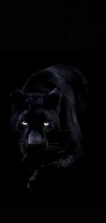 Black panther wallpaper with dark background