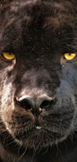 Close-up of a black panther with piercing yellow eyes.