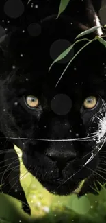 Close-up of a black panther with piercing yellow eyes amidst green leaves.