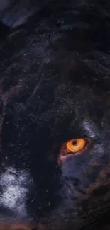 Close-up of a black panther with glowing golden eyes.