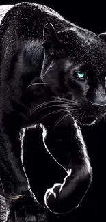 A majestic black panther with glowing eyes in a striking pose on a dark background.
