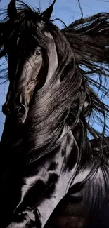 Majestic black stallion with flowing mane under a blue sky.