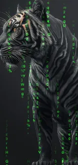 Elegant black tiger illustration with dark background.