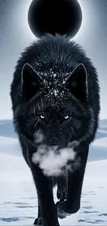 Black wolf in snowy landscape wallpaper.