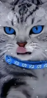 Close-up of a cat with blue eyes and snowflakes in the background.