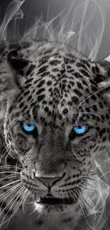 Blue-eyed leopard with smoky background.