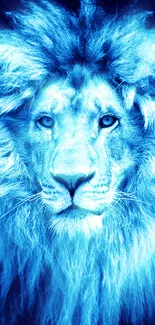 Majestic blue lion wallpaper with fierce gaze, for mobile screens.