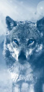 Majestic blue wolf with icy background on mobile wallpaper.