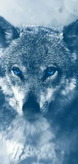 Majestic blue wolf with intense gaze in snowy landscape.