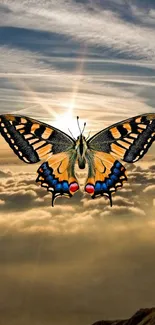 Majestic orange and black butterfly flying over sunlit cloudy sky.