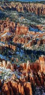 Majestic canyon view with orange rock formations.