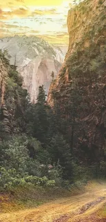 Canyon at sunset with golden pathway and towering cliffs in nature.