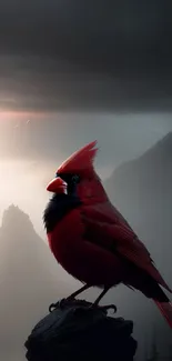 Red cardinal bird perched at dusk with misty mountain backdrop.