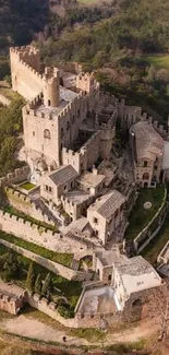 Aerial view of a medieval castle surrounded by lush green vegetation.