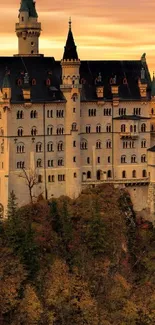 Majestic castle silhouetted against a vibrant sunset sky.