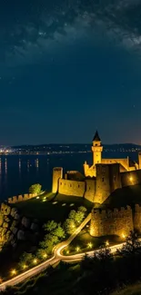 Majestic castle illuminated under a starry night sky on a hilltop.