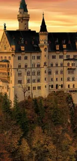 Majestic castle with sunset sky background.