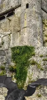 Castle with ivy and dragon in front; fantasy wallpaper.