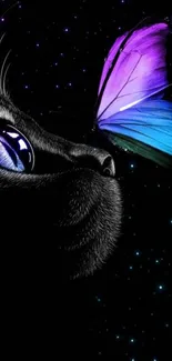 Black cat gazing at a colorful butterfly against a starry night backdrop.