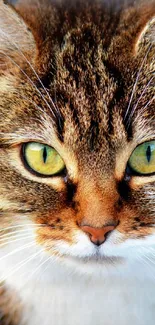 Close-up of a cat with striking green eyes and detailed brown fur.