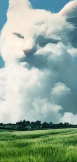 Creative cloud shaped like a giant cat over green fields, under a blue sky.