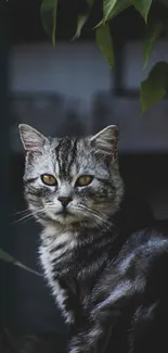 Grey cat surrounded by green leaves in a dark, serene setting.