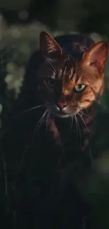 Majestic cat with green eyes in a dark forest setting.