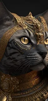 Majestic cat in intricate golden armor on a dark background.