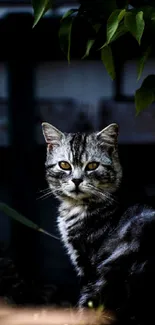 A majestic tabby cat in a shadowed, lush garden setting.