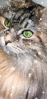 Majestic cat with green eyes and snowflakes on fur.