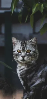 Portrait of a gray cat with yellow eyes in a natural setting.