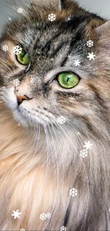 Long-haired cat with snowflakes wallpaper.