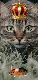 Majestic cat wearing a crown in frosty grass staring at a mouse.