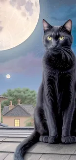 Black cat sitting on a rooftop under a full moon in the night sky.