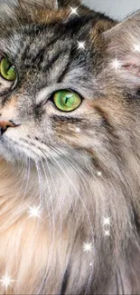 Long-haired cat with sparkling green eyes among sparkles.