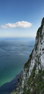 Majestic cliff overlooking a tranquil ocean with clear blue sky.