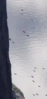 Birds soar alongside a rocky cliff over calm waters.