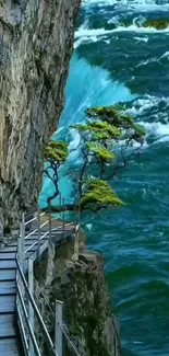 Cliffside path overlooking ocean waves and trees.