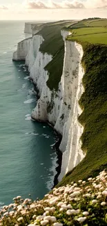 Scenic view of white cliffs by a calm sea with lush greenery.